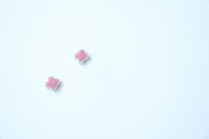 Four Leaf Stud Earrings Hanakaido (S)